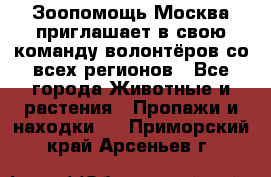 Зоопомощь.Москва приглашает в свою команду волонтёров со всех регионов - Все города Животные и растения » Пропажи и находки   . Приморский край,Арсеньев г.